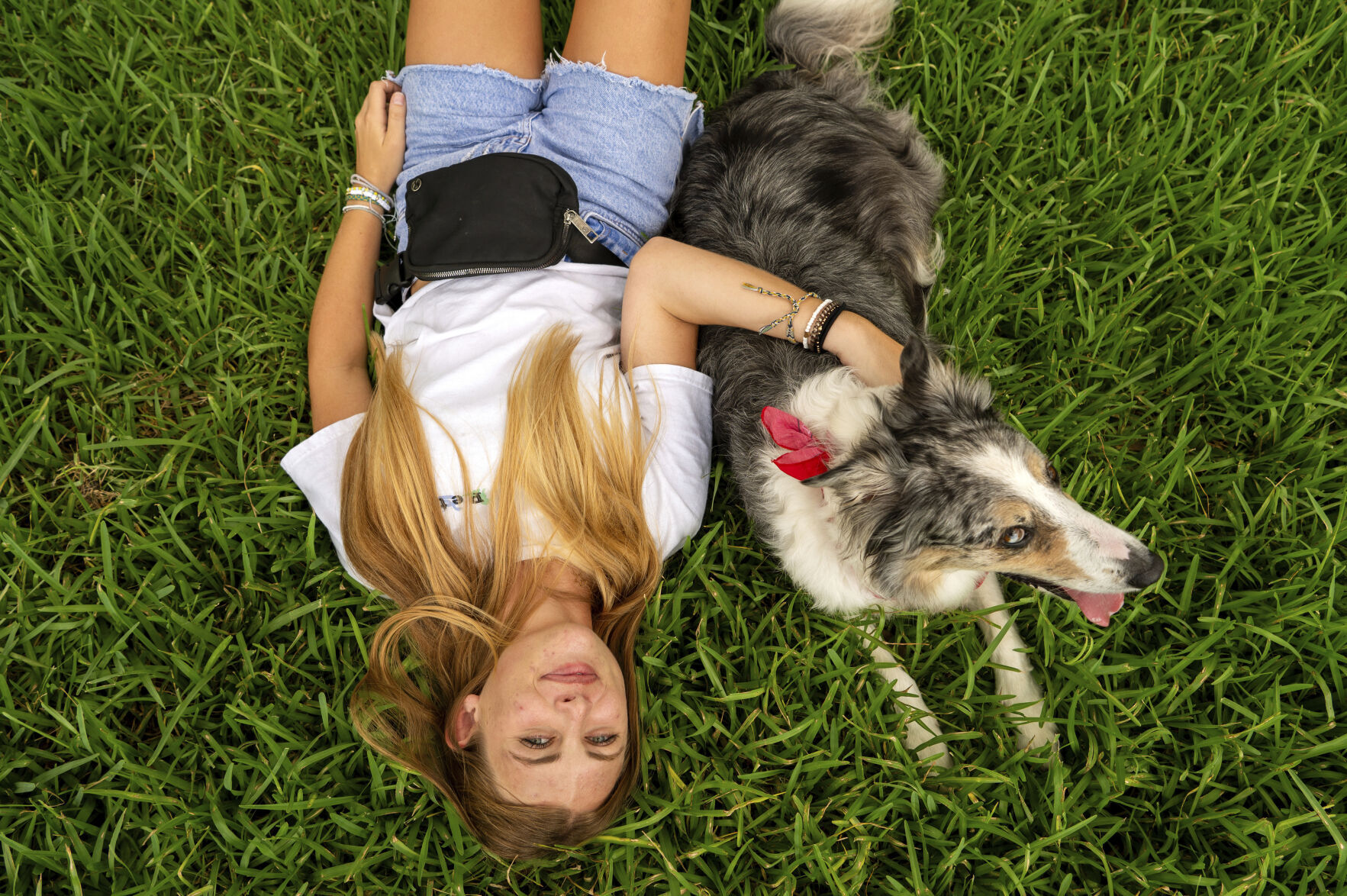 Be Well Education Pet Friendly Dorms